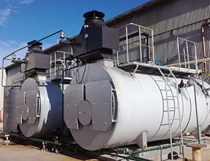 2016 Wilford timeline image